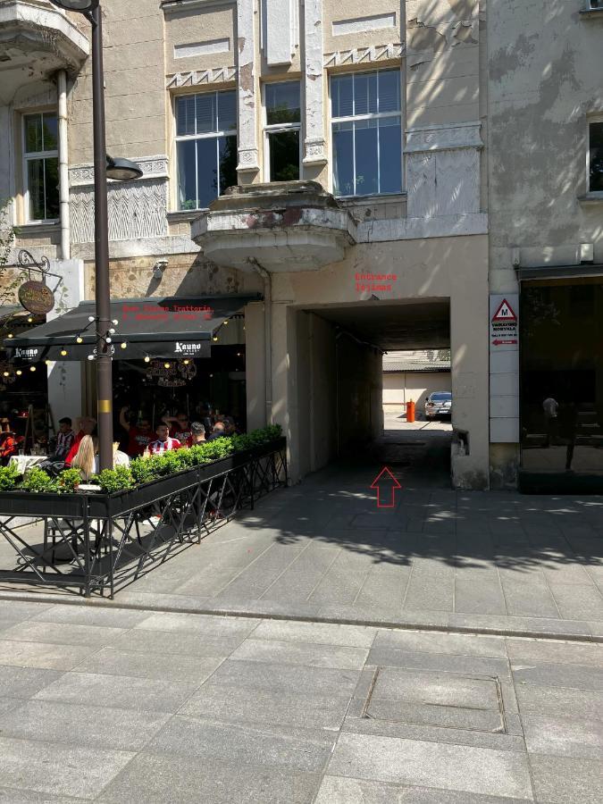 Ingos Laisves Al. Apartamentai Каунас Экстерьер фото